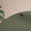 beistelltisch-olivgruen-c-form-rund-levi-5_1280x1280_thumb