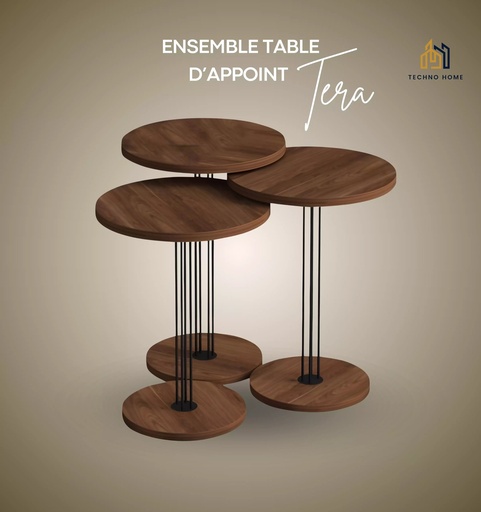[SW-2443-KAQ2B] Ensemble Table d'Appoint Tera Marron