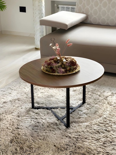 [SWTR-MR9654] Table Basse TRIKA Marron